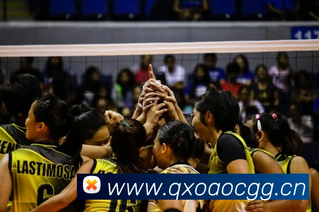 九游网官网入口平台生态图