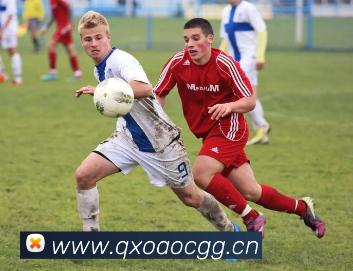 九游网官网入口APP 封面图